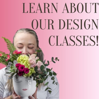 Learn about our design classes